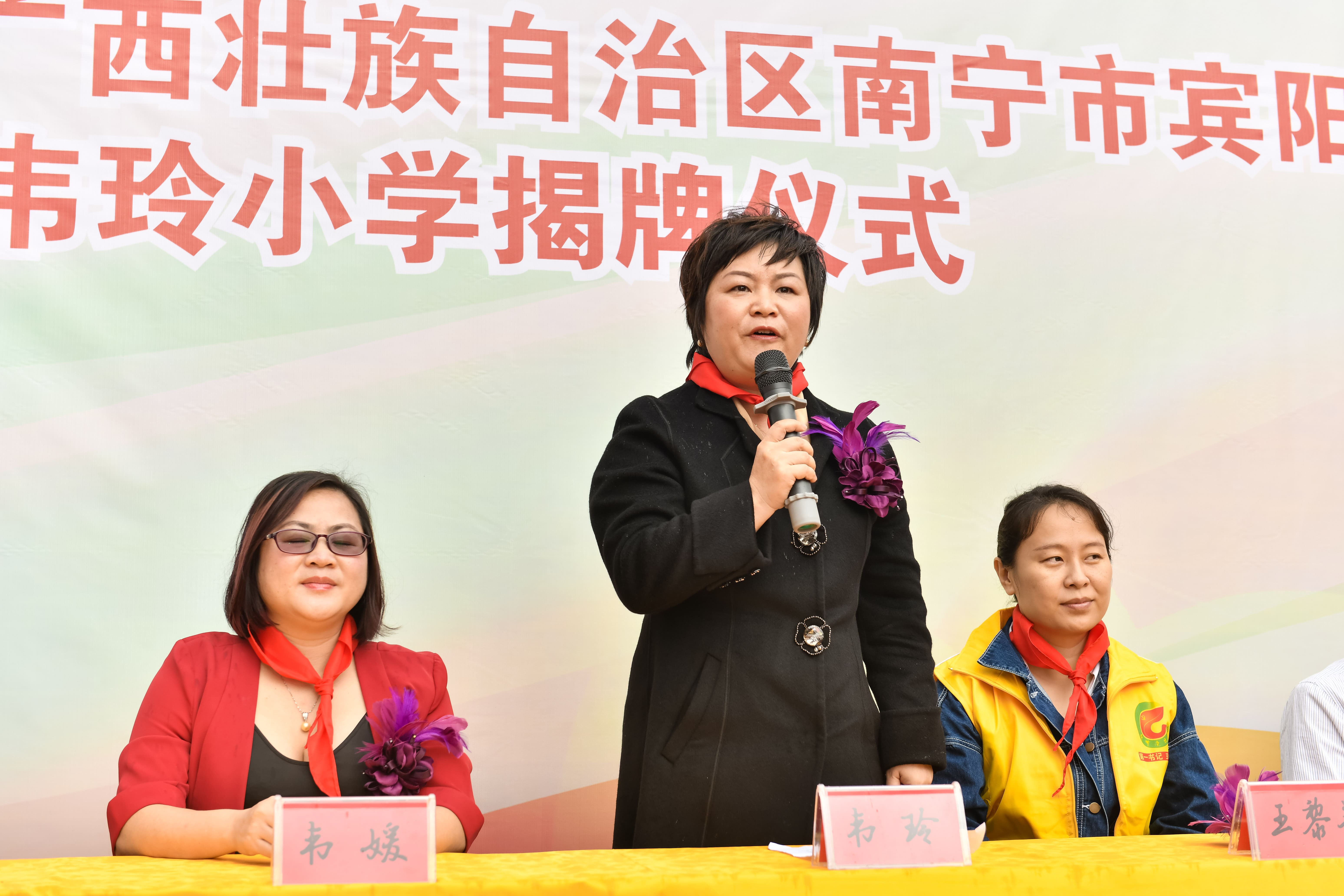 第184所  南宁市宾阳县思陇镇昆仑村星空平台-星空(中国)一站式服务平台
韦玲小学